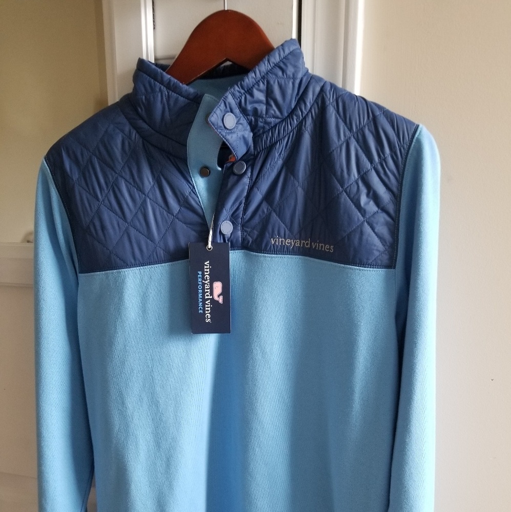 Vineyard vine